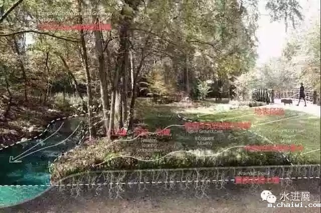 640.webp (15).jpg 640.webp (15).jpg