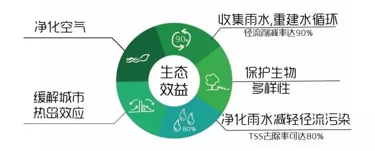 640.webp (17).jpg 640.webp (17).jpg