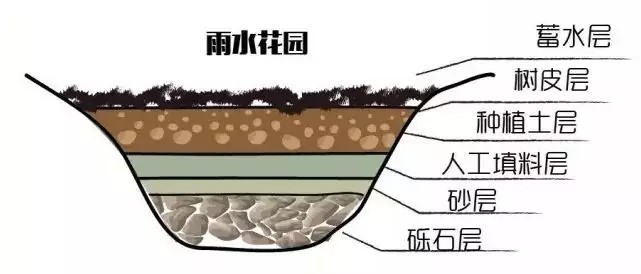 640.webp (19).jpg 640.webp (19).jpg