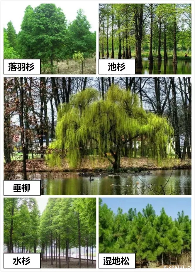 640.webp (23).jpg 640.webp (23).jpg