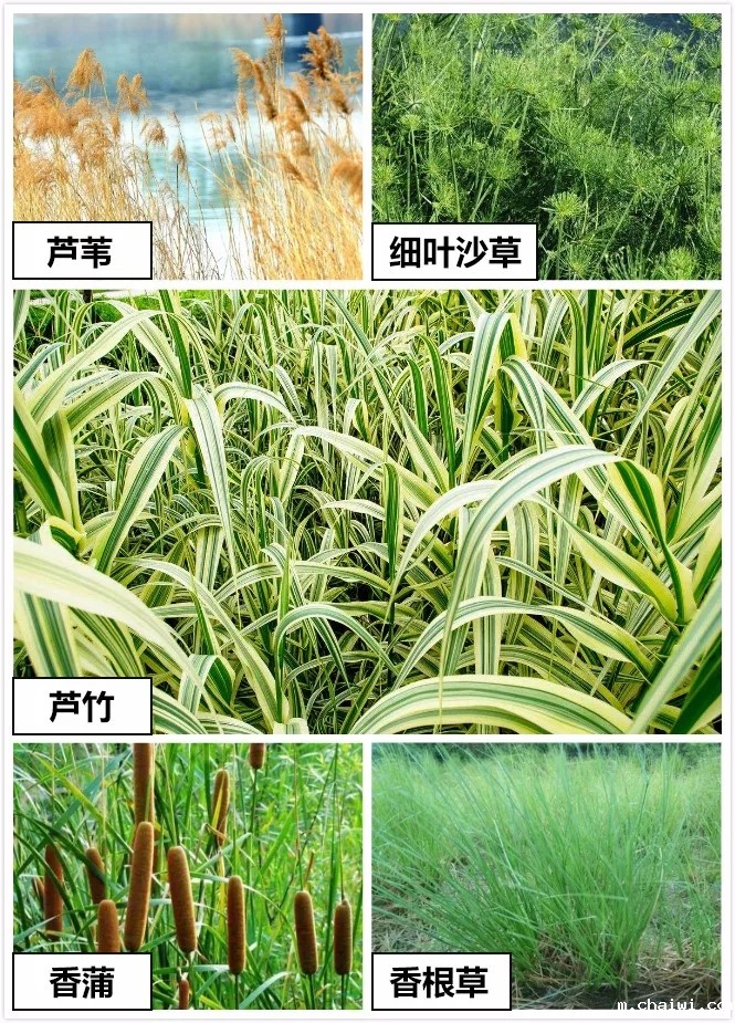 640.webp (24).jpg 640.webp (24).jpg