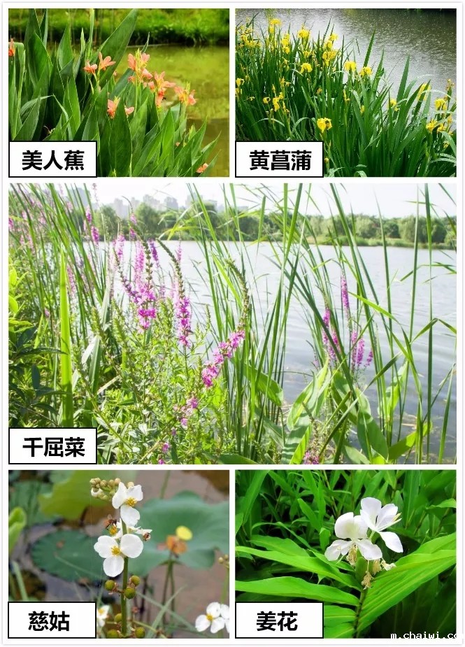 640.webp (27).jpg 640.webp (27).jpg