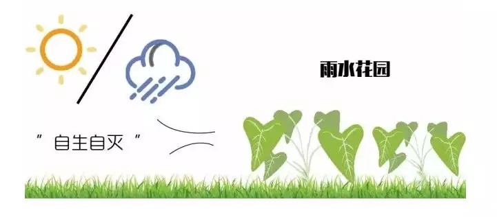 640.webp (21).jpg 640.webp (21).jpg