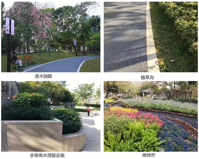 640.webp (16).jpg 640.webp (16).jpg