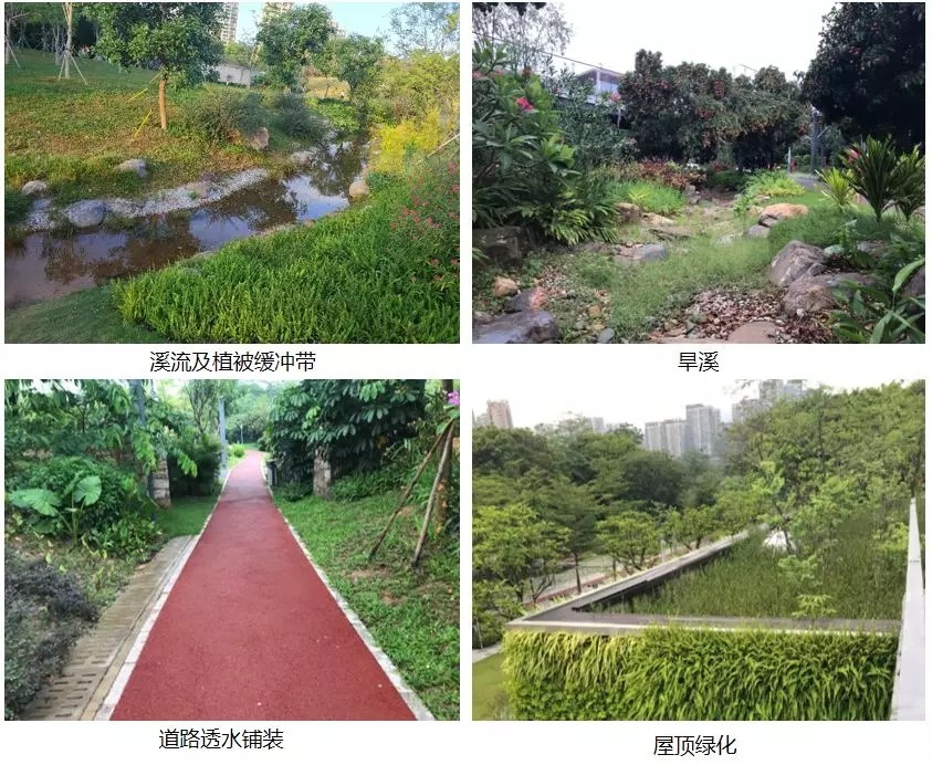 640.webp (20).jpg 640.webp (20).jpg