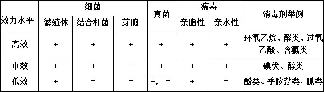 640 (2).webp (8).jpg 640 (2).webp (8).jpg