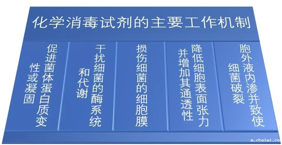 640 (2).webp (10).jpg 640 (2).webp (10).jpg