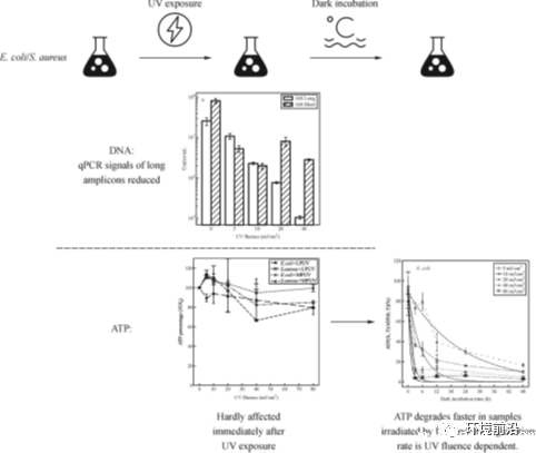 640 (5).png 640 (5).png