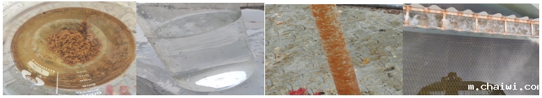 12121212.png 12121212.png