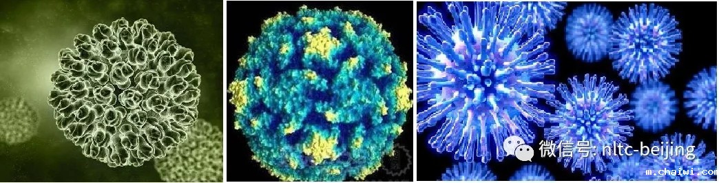 640 (1).webp (8).jpg